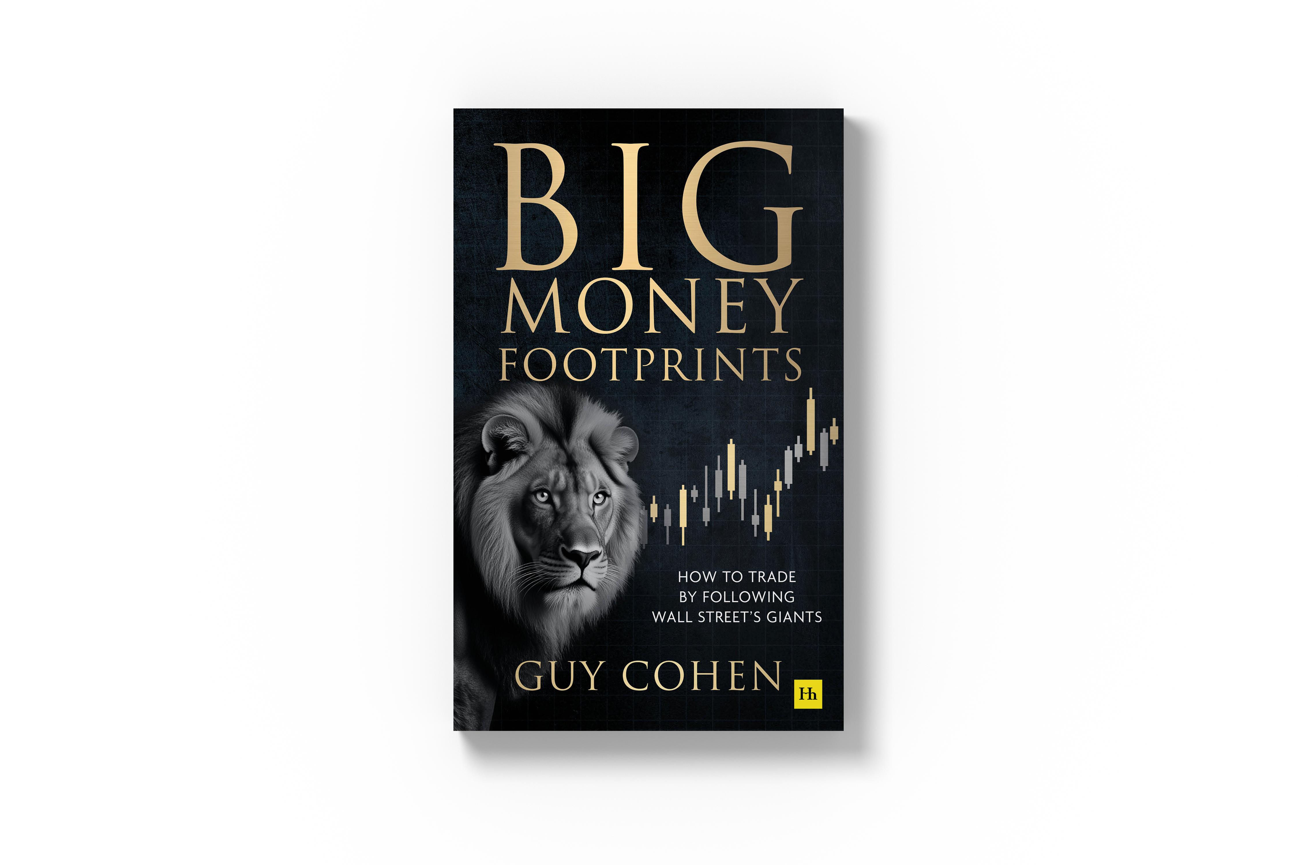 BigMoneyFootprints